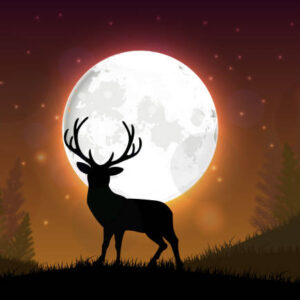 Buck Moon Launch Pass- High Priestess